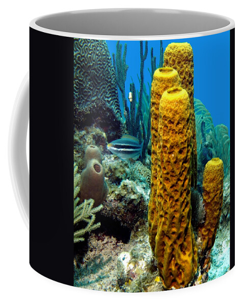 Nature Coffee Mug featuring the photograph Yellow Tube Sponge by Amy McDaniel