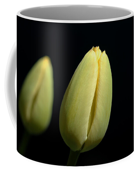 Tulips Coffee Mug featuring the photograph Friendship by Debbie Oppermann