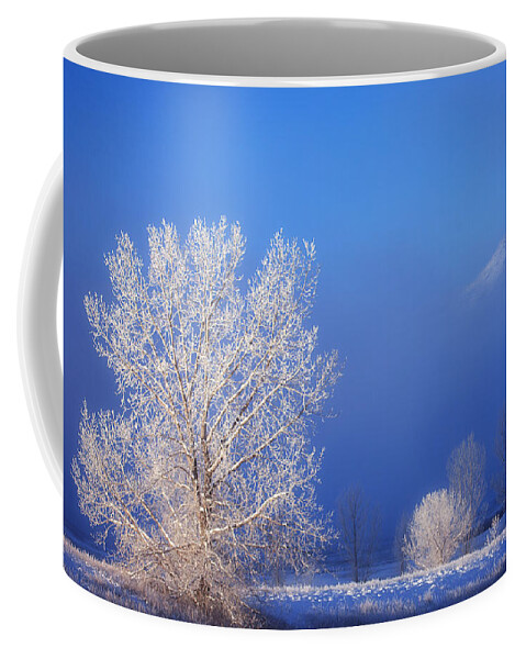 Ice Coffee Mug featuring the photograph Yesterday's Blues by Darren White