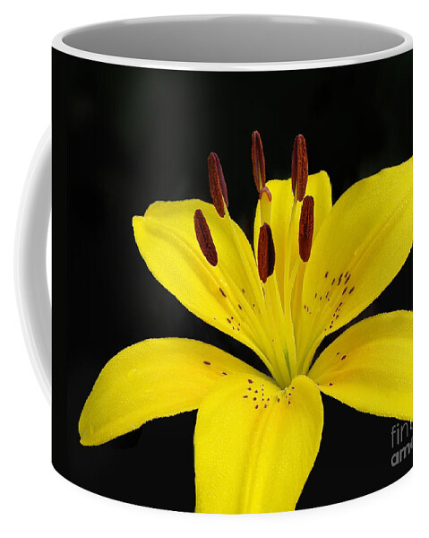 Yellow Flower Coffee Mug featuring the photograph You Are My Inspiration by Kathi Mirto