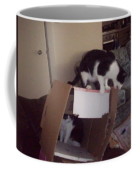 Cats Coffee Mug featuring the photograph You sure you know what your doing by Judith Desrosiers