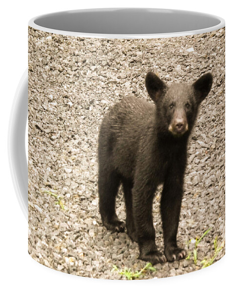 Young Coffee Mug featuring the photograph Young Cub by Jan Dappen