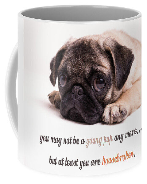 Mature Coffee Mug featuring the photograph Young Pup by Edward Fielding