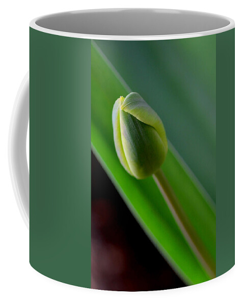Tulip Coffee Mug featuring the photograph Young Tulip by Lisa Phillips