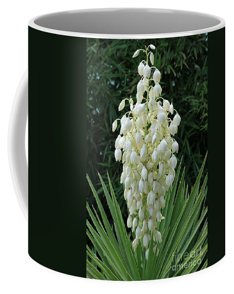 Yucca Coffee Mug featuring the photograph Yucca Blossoms by Christiane Schulze Art And Photography