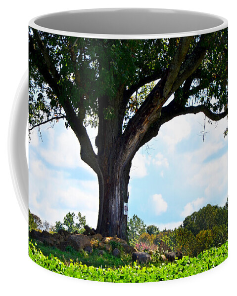 Alstede Farm Coffee Mug featuring the photograph Yum Yum Tree by Maureen E Ritter