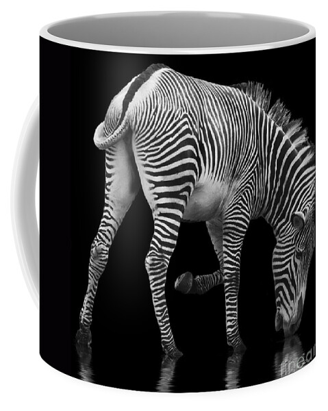 Zebra Coffee Mug featuring the photograph Zebra and the Mill Pond II by Sheila Laurens