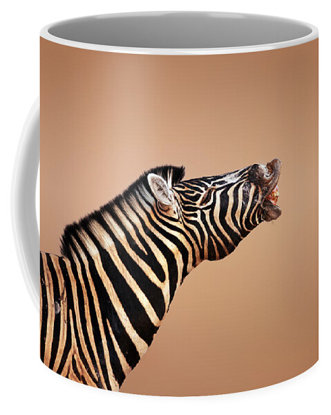 Zebra Coffee Mug featuring the photograph Zebra Calling by Johan Swanepoel