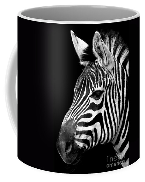 Horse Coffee Mug featuring the photograph Zebra by Gunnar Orn Arnason