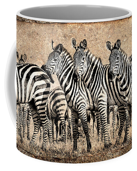 Africa Coffee Mug featuring the photograph Zebra Herd Rock Texture Blend by Mike Gaudaur