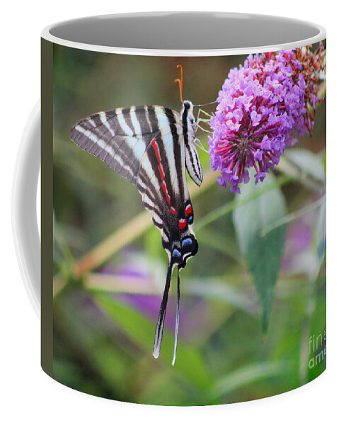 Zebra Coffee Mug featuring the photograph Zebra Swallowtail Butterfly on Butterfly Bush by Karen Adams