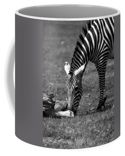 Zebra Coffee Mug featuring the photograph Zebra by Tracy Winter