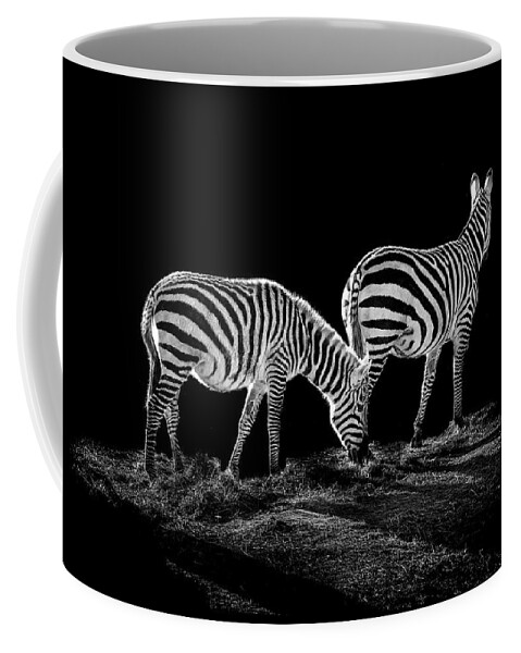 Zebra Coffee Mug featuring the photograph Zebra's by Paul Neville