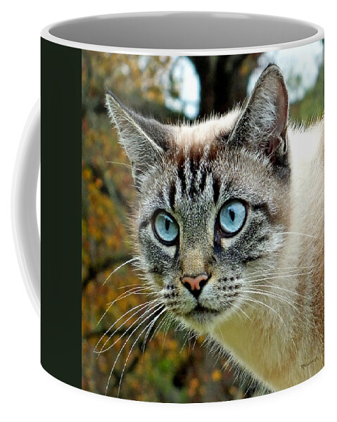 Duane Mccullough Coffee Mug featuring the photograph Zing the Cat Upclose by Duane McCullough