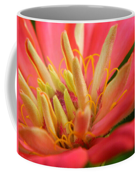 Flower Coffee Mug featuring the photograph Zinnia Styri by Karen Mesaros