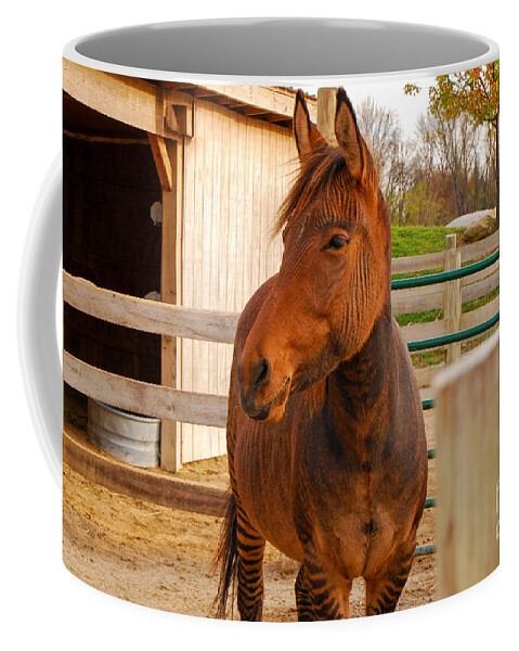 Zorse Coffee Mug featuring the photograph Zorse by Mary Carol Story