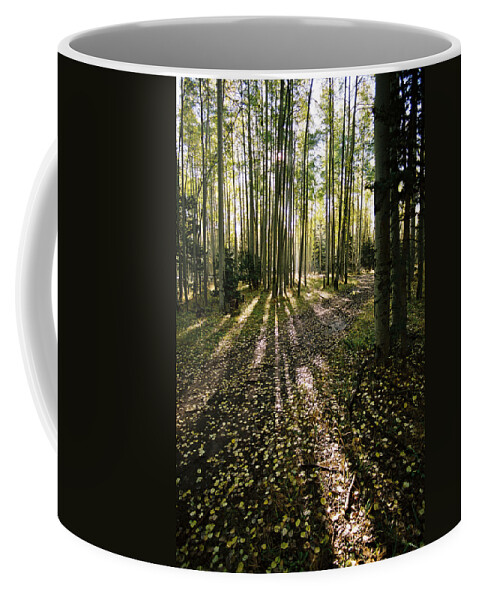 Red River Coffee Mug featuring the photograph Aspen Grove On Old Red River Pass by Ron Weathers