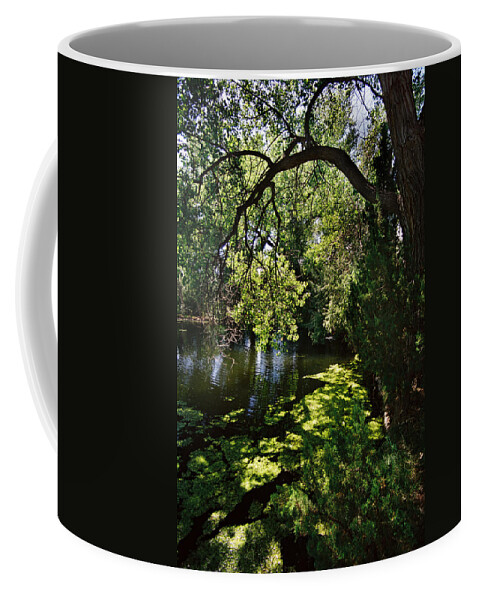 Santa Fe Coffee Mug featuring the photograph Lake With Cottonwoods by Ron Weathers