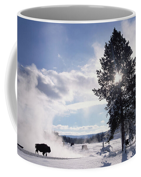 00174315 Coffee Mug featuring the photograph American Bison In Winter Yellowstone #1 by Tim Fitzharris