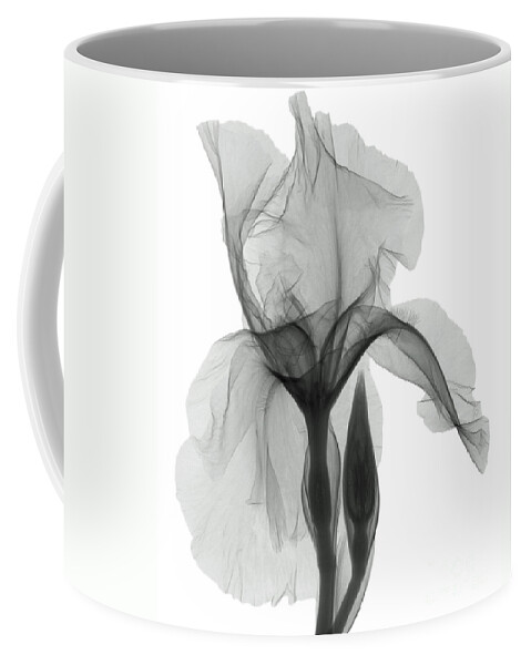 Xray Coffee Mug featuring the photograph An X-ray Of An Iris Flower by Ted Kinsman