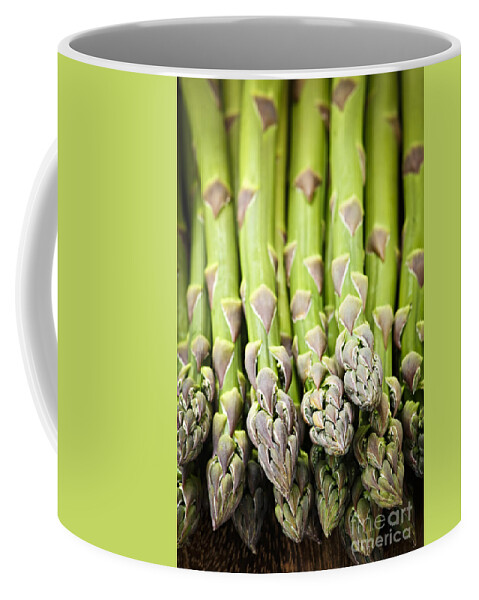 Asparagus Coffee Mug featuring the photograph Asparagus 2 by Elena Elisseeva