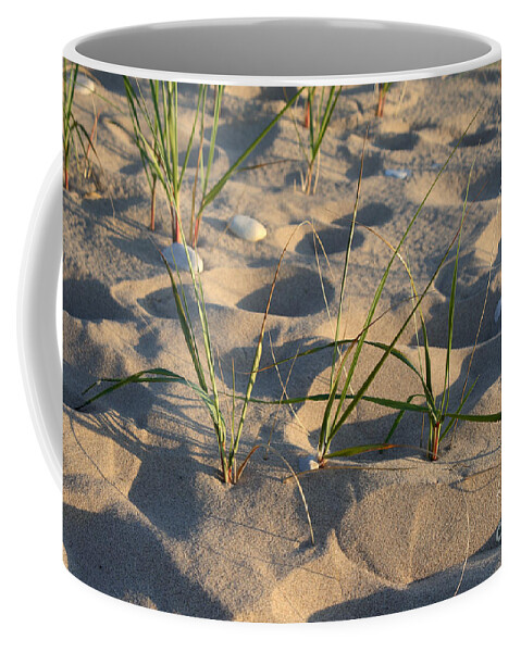 Sand Coffee Mug featuring the photograph Beach Grass #1 by Ted Kinsman