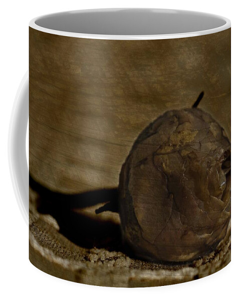 Rosebud Coffee Mug featuring the photograph Dead Rosebud #1 by Steve Purnell