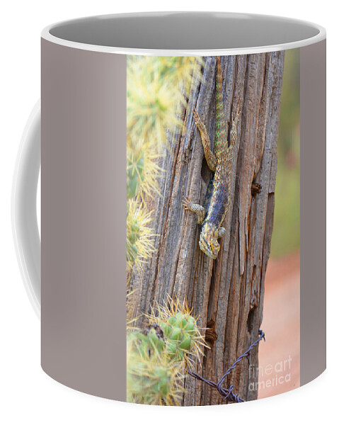 Reptilian Coffee Mug featuring the photograph Desert Spiney Lizard #1 by Donna Greene
