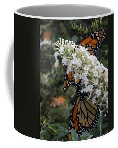 Monarch Coffee Mug featuring the photograph Double Beauty by Kim Galluzzo Wozniak