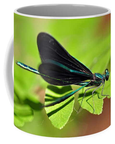 Dragonfly Coffee Mug featuring the photograph Dragonfly #1 by Glenn Gordon