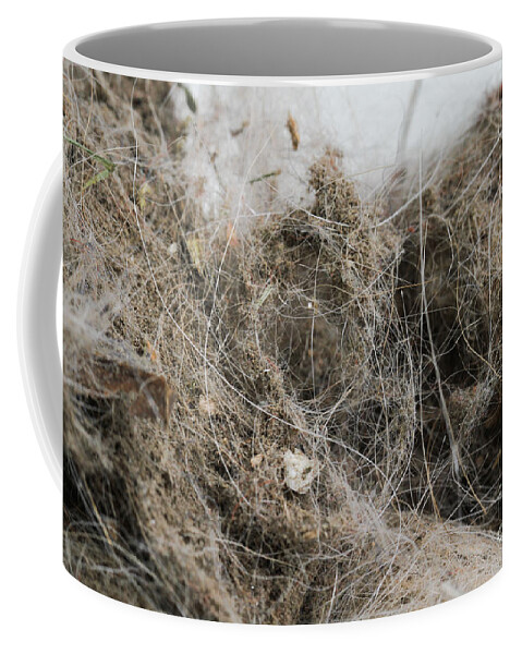 Allergen Coffee Mug featuring the photograph Dust Ball #1 by Photo Researchers, Inc.