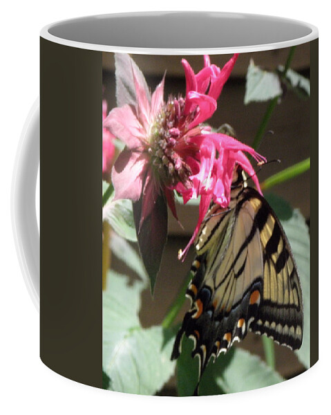 Butterfly Coffee Mug featuring the photograph Eastern Yellowtail #1 by Kim Galluzzo