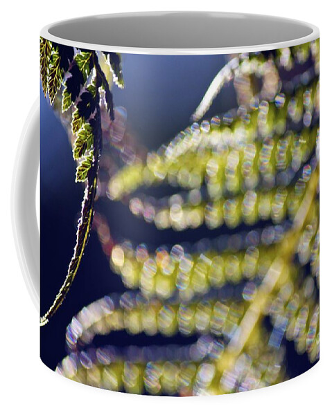 Sparkle Coffee Mug featuring the photograph Enchanted Ferns #1 by Alanna DPhoto
