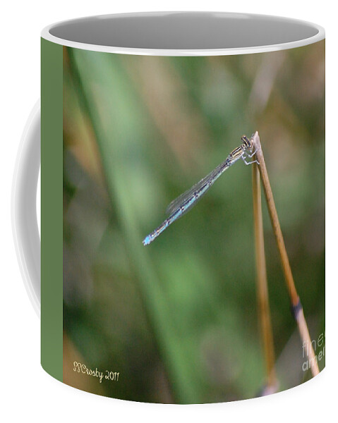 Familiar Bluet Damselfly Coffee Mug featuring the photograph Familiar Bluet Damselfly #1 by Susan Stevens Crosby
