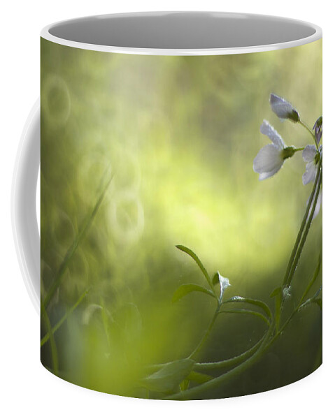 Flower Coffee Mug featuring the photograph Forest meadow #1 by Ang El