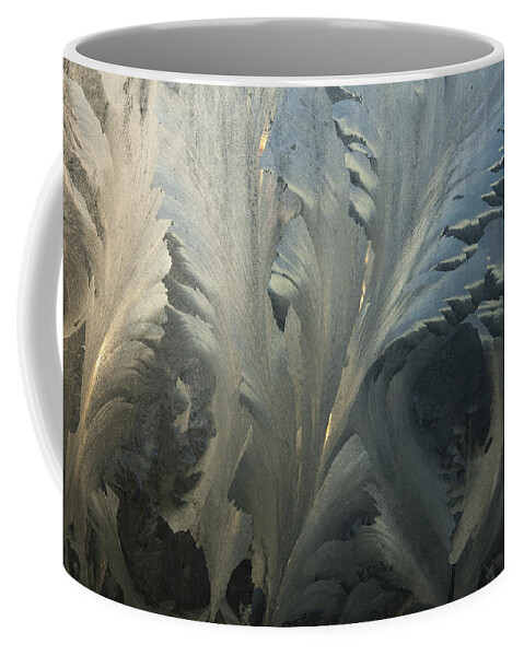 Hhh Coffee Mug featuring the photograph Frost Crystal Patterns On Glass, Ross #1 by Colin Monteath