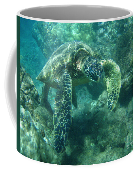 Green Coffee Mug featuring the photograph Green Sea Turtle Hawaii #1 by Bob Christopher