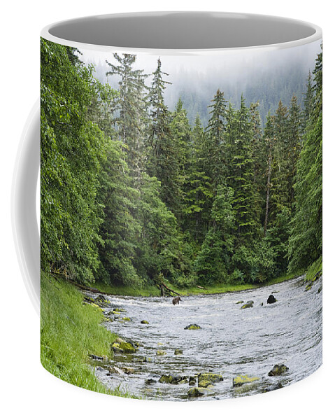 Mp Coffee Mug featuring the photograph Grizzly Bear Ursus Arctos Horribilis #1 by Konrad Wothe