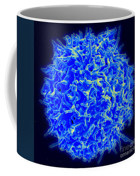 Biology Coffee Mug featuring the photograph Healthy Human T Cell, Sem #1 by Science Source