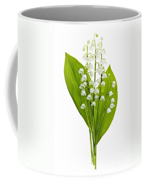 Flower Coffee Mug featuring the photograph Lily-of-the-valley flowers #4 by Elena Elisseeva