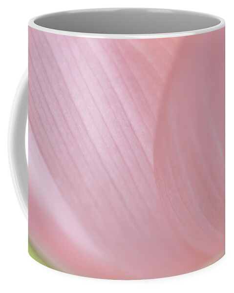 Brilliant Pink Lotus Flower Coffee Mug featuring the photograph Nelumbo 'Mrs. Perry Slocum' #1 by Perla Copernik