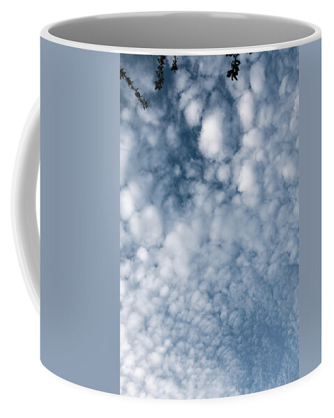 Lenny Carter Coffee Mug featuring the photograph Sky Fluff #1 by Lenny Carter