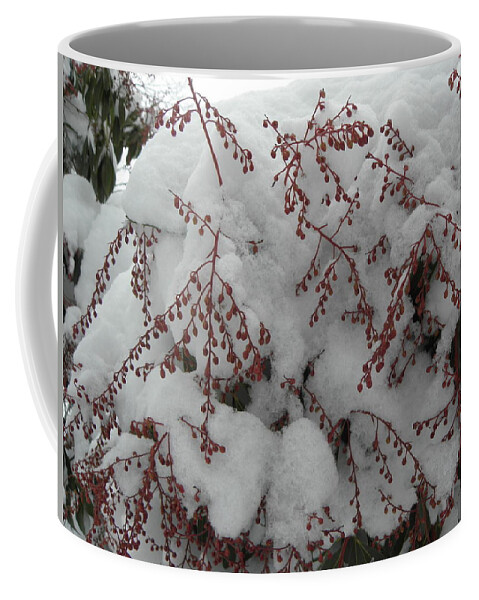Snow Coffee Mug featuring the photograph Snow Covered by Kim Galluzzo Wozniak