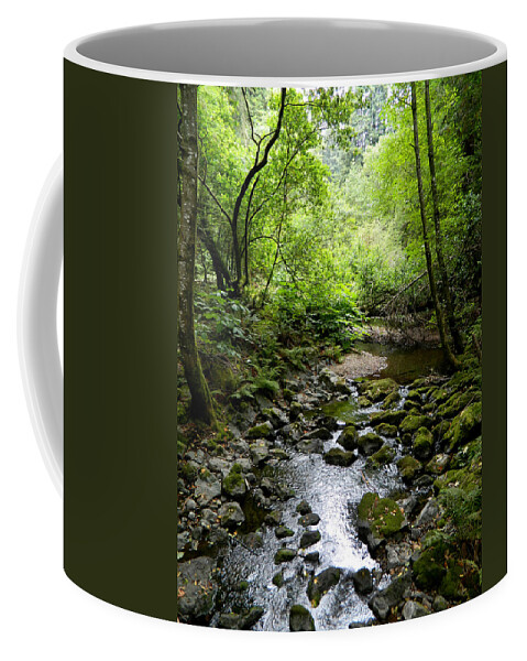Landscape Coffee Mug featuring the photograph Spring Creek III #1 by Kathleen Grace