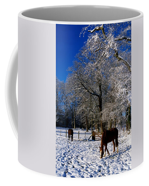 Agriculture Coffee Mug featuring the photograph Thoroughbred Horses, Mares In Snow #1 by The Irish Image Collection 