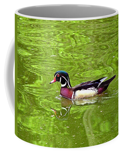 Water Wood Duck Canvas Coffee Mug featuring the photograph Water Wood Duck by Wendy McKennon