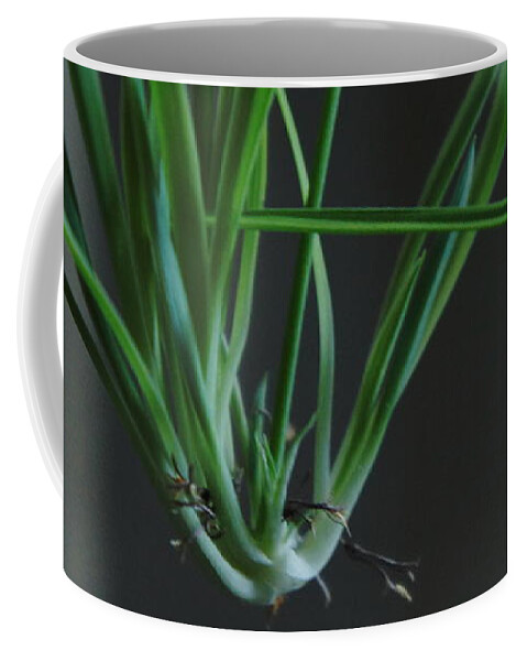  Coffee Mug featuring the photograph My room up close 1 #15 by Myron Belfast