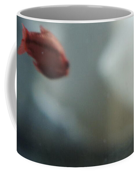  Coffee Mug featuring the photograph My room up close 1 #18 by Myron Belfast