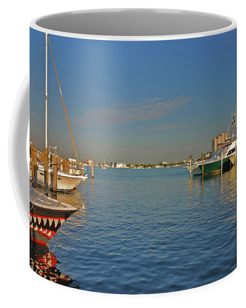 Sailfish Marina Coffee Mug featuring the photograph 18- Jaws by Joseph Keane