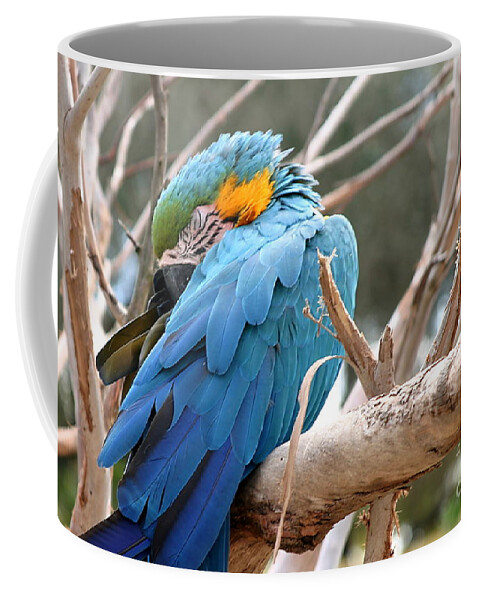 Blue Coffee Mug featuring the photograph Blue And Gold Macaw #2 by Henrik Lehnerer